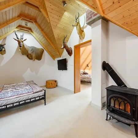 Villa In Bohemia Near Thermal Spring *